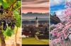 Das Unterallgäu ist eine schöne Region, findet der Chatbot - vor allem wegen der Weinberge und das Kirschblütenfest ...