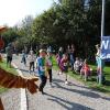 Bei bestem Wetter starteten am Sonntag viele kleine und große Läufer beim Meringer Marktlauf des TVM.