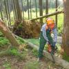 Waldarbeit ist bis heute immer noch viel Handarbeit in Aichach-Friedberg. Häufig sind aber auch Erntemaschinen im Einsatz. Derzeit  halten sich viele Bauern mit dem Holzeinschlag zurück. Sie hoffen auf bessere Preise.