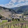 In der Dorfmitte von Marienthal wird das Freundschaftshaus aufgebaut. Mitte Juli soll das Richtfest stattfinden.