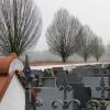 Die Bäume neben dem Friedhof in Münsterhausen sollen stehen bleiben. Dies beschloss der Bauausschuss.  	
