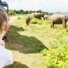 Viele Urlauber gehen gerne auf Safari, um wild lebende Elefanten zu sehen. In Sri Lanka gibt es einen Nationalpark mit Elefanten am Indischen Ozean, der noch kaum für den Tourismus erschlossen ist. Studenten der Hochschule Augsburg entwickeln nun ein verträgliches Tourismuskonzept, um Menschen und Natur vor Ort zu helfen.