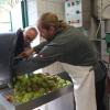 Robert Boy (hinten) und Peter Heidenreich schütten die angelieferten Äpfel in die Waschanlage.