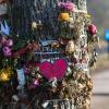 Blumen und Trauerschmuck hängen im vergangenen Dezember an einem Baum an der Dreisam in Freiburg. Nun hat der Mordprozess gegen den mutmaßlichen Täter begonnen.