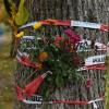 Blumen sind mit Polizeiabsperrband an einem Baum nahe der Dreisam in Freiburg befestigt. Im Fall der getöteten Studentin hofft die Polizei auf Hinweise aus der Bevölkerung.