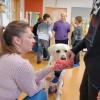 Der Labrador Amur wird an der GMS Oettingen als Schulhund eingesetzt. Besitzerin und Lehrerin Regina Michailov besucht mit ihrem Hund momentan die Grundschulklassen.