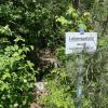 Die Natur hat sich den Schießplatz in Haunstetten zurückerobert. Der Kulturkreis fordert, dass Teile der historischen Gebäude erhalten bleiben.