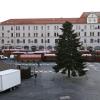 Der 14 Meter hohe Christbaum steht seit Montag auf dem Augsburger Rathausplatz. Der Christkindlesmarkt startet am 22. November.