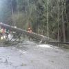 Zwei Unfälle haben sich am Dienstagabend ereignet. Sowohl in Lutzingen als auch in Bächingen prallten Autos gegen umgestürzte Bäume. 
