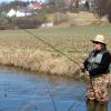 In den Landkreisen Landsberg und Augsburg wird vor dem Verzehr von Fischen aus der Friedberger Ach gewarnt.