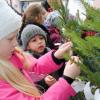 Kinder schmücken dieser Tage Weihnachtsbäume vor Geschäften im Zentrum von Bobingen mit ihren Basteleien. 