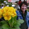 Es blüht in der Friedrichsau: Klassische Blumen gibt es natürlich auch auf der Messe „Gartenträume“. So wie hier bei dem Händler „Der Pflanzenmann aus Holland“.  	