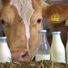 „Der Milchmarkt braucht Regeln.“Josef Bissinger