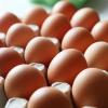 Der Geflügelhof Ertl ruft Hühnereier zurück. In den Eiern waren offenbar Durchfallbakterien gefunden worden.