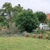 Eine Schneise der Verwüstung hinterließ ein Unwetter am Montag im Landkreis. Die größten Schäden gab es in Großaitingen, auch der Schwabmünchner Stadtteil Birkach war betroffen.