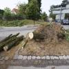 Bäume, die es samt Wurzeln aus dem Boden zieht, blockierte Straßen und weitere Schäden hat der Sturm von Dienstag auf Mittwoch in der Region hinterlassen.
