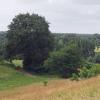 Erst querfeldein, dann durch den Wald: Die Strecke von Heroldstatt nach Seißen ist abwechslungsreich.