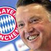 Louis van Gaal, Trainer des FC Bayern München
