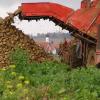 Zuckerrübenernte auf einem Feld beim Aindlinger Ortsteil Hausen.