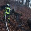 Drei Feuerwehren aus dem Gemeindegebiet Affing rückten am Montagmorgen zu einem brennenden Baumstumpf im Waldgebiet am Anwaltinger Weg aus.