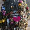 Blumen und Trauerschmuck erinnern in Freiburg an die getötete Studentin. 