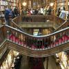 Die Livraria Lello in Porto gilt als eine der schönsten Buchhandlungen der Welt.