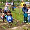 Mit Feuereifer ist der Kleingärtner-Nachwuchs im Neuhausener Kindergärtle bei der Sache, auch zur Freude des Initiators Xaver Stadler (im Hintergrund, gelbes Hemd).

Foto: Willi Baur