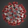 Eine Mikroskopaufnahme zeigt das neuartige Coronavirus. Sorge breiten im Moment mutierte Versionen des Virus.