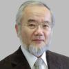 Der Nobelpreis 2016 im Bereich Medizin ging an Yoshinori Ohsumi. Er erforschte die Autophagie der menschlichen Zellen.