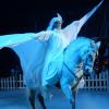 Prinzessin Luna reitet in der Show „Palast der Pferde“ durch eine magische Zauberwelt. 	