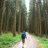 Ums Wandern geht es oft beim Schwäbischen Albverein.