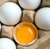 Bayern Ei soll dafür verantwortlich sein, dass mehrere Menschen an Salmonellen erkrankten. (Symbolbild)