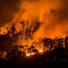 In Portugal gibt es die schlimmsten Waldbrände seit Jahrzehnten. 