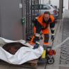 Feuerwehrleute bringen die tote Bache aus dem Modegeschäft zum Lastwagen. Das Tier wird zum Metzger gebracht, wo es untersucht wird. Die Sau war schon vor den tödlichen Schüssen aus den Polizeiwaffen verletzt. 