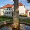 Während der Sommermonate fängt unser Fotograf Peter Fastl Impressionen aus den kleineren Orten und einigen Friedberger Stadtteilen ein. Bei seinen Rundgängen hat er auch Menschen getroffen, die in Derching ihre Heimat gefunden haben.