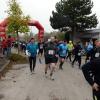 Lionslauf 2014 von Eichstätt nach Neuburg