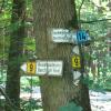 Einiges gibt es im Wittelsbacher Land zu entdecken, wie hier die Hinweisschilder im Derchinger Forst anzeigen.