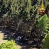 Die Aufnahme der Feuerwehr zeigt eine abgestürzte Gondel, die in einem Waldstück liegt. Bei dem Seilbahnunglück in Norditalien sind 14 Menschen ums Leben gekommen.