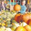 Groß, klein, rund, oval, grün, orange – so unterschiedlich die Kürbisse sind, so vielfältig ist auch der Markt, der am 17. und 18. September wieder bei Anita und Roland Martin stattfindet. 