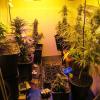 Auf einem Anwesen in Untereichen fand die Polizei im April insgesamt 1,5 Kilogramm Marihuana. Nun läuft der Prozess.