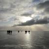 Das Wattenmeer der Nordsee: Vor mehr als 150 Jahren brandete ein Tsunami gegen die Nordseeküste - ein Ereignis, dass sich laut Experten jederzeit wiederholen kann.