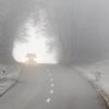 Stets ein Gefahrenpunkt, erst recht bei Nebel: Die uneinsehbare Kuppe an der Verbindungsstraße zwischen Rettenbach und Harthausen. 