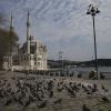 Auch in Istanbul steht das öffentliche Leben still. Besuch scheint die Ortaköy-Moschee derzeit nur von Tauben zu bekommen.