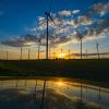Farbenprächtig leuchtet der Sonnenuntergang über dem Windenergiepark «Odervorland».