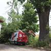 In Oberneul (Aichach) fiel ein Baum auf diesen Transporter. Er beschädigte auch eine Stromleitung und zog Dachständer der Wohngebäude und Stallungen in Mitleidenschaft.
