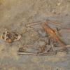 In Holzheim haben die Archäologen von Proarch ein Skelett aus dem 6/7. Jahrhundert gefunden.
