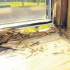 Experten haben das morsche Holz an einem Fenster sichtlich geprüft.