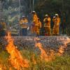 Die Buschfeuer in Australien haben nach Behördenangaben bereits mehrere Millionen Hektar Land verbrannt. 