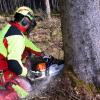 Bei Waldarbeiten in Schwenningen (Symbolfoto) hat ein Ast einen 48-Jährigen am Kopf getroffen. 
