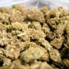 Fahnder haben in Griechenland mehrere Tonnen Cannabis in einem Schiff gefunden, das sie ein Jahr lang auseinander nahmen.